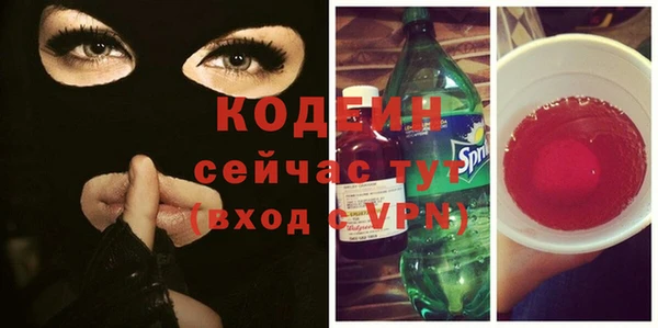 дмт Вяземский
