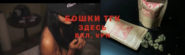 дмт Вяземский