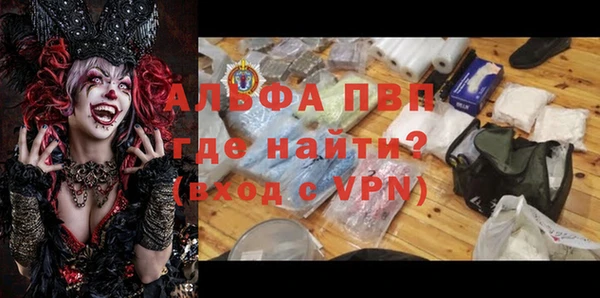дмт Вяземский