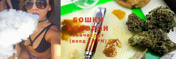 дмт Вяземский